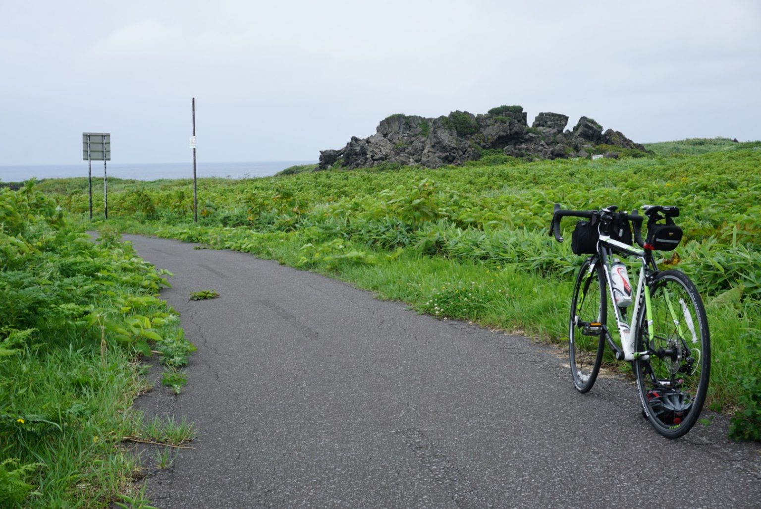 北海道 自転車 熊